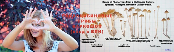 трава Нижневартовск